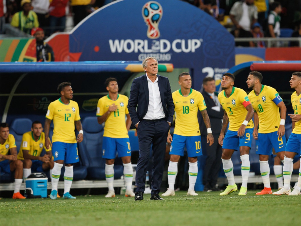 冠的关键因 冠的关键因